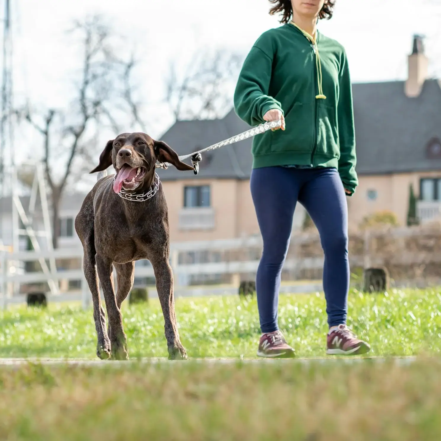 Il tuo cane tira al guinzaglio?